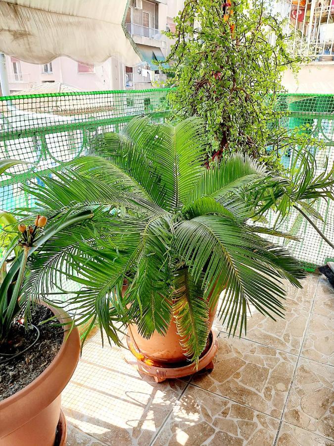 Large Terrace Apartment Near City Centre Atenas Exterior foto